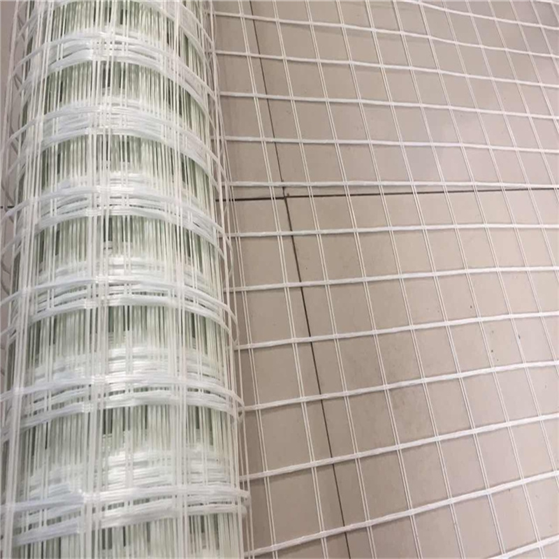硅晶网